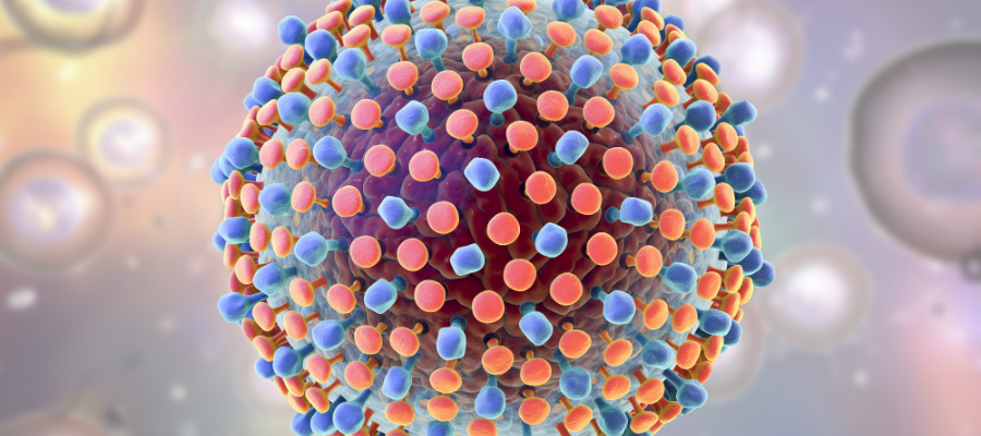 Hepatit B Antikor testi (Anti HBS) image