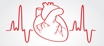 EKG (Elektrokardiyografi) image